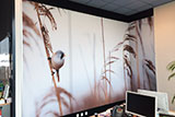 beedesign-wallcover-fotowand-fullcolor